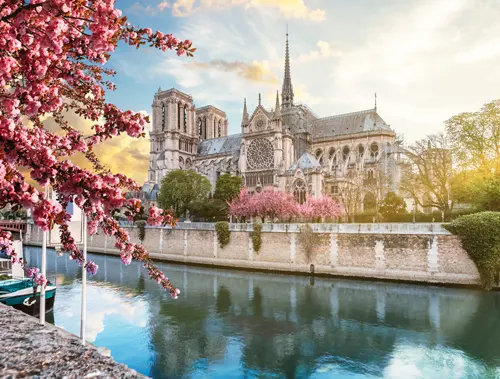 notre dame de Paris